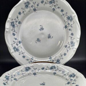 Set of 2 Johann Haviland Bavaria Germany Blue Garland 10” plates